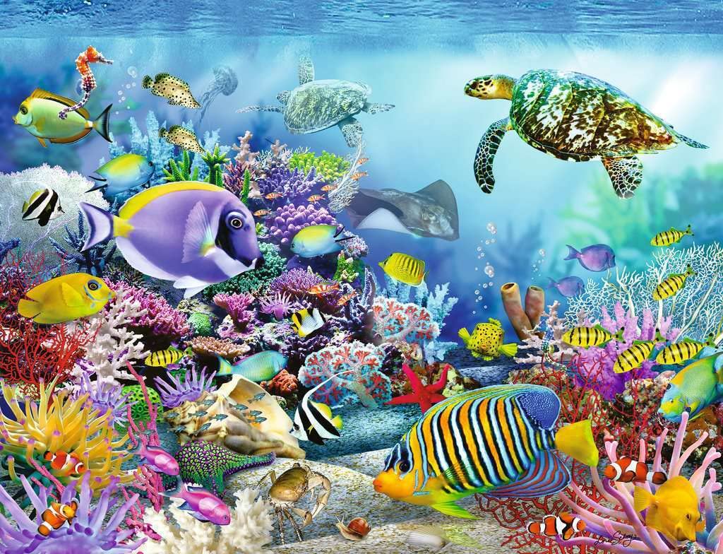 Amazon.com: Coral Reef Majesty : Toys & Games